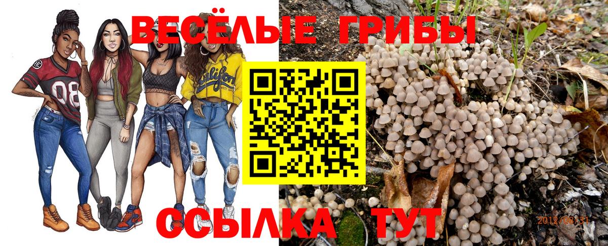 Валуйки  Галлюциногенные грибы Cubensis  Вход с VPN 