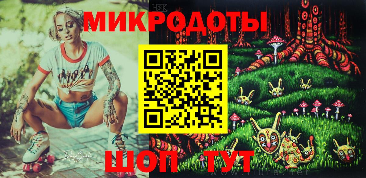 Псилоцибиновые грибы Psilocybe Валуйки